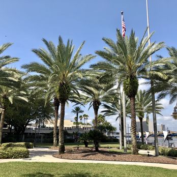 Graffiti American Burger Bar - palm trees in the foreground - Cafes Near Me - Jacksonville Beach, Florida Graffiti American Burger Bar - palm trees in the foreground - Cafes Near Me - Jacksonville Beach, Florida