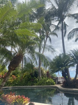 Pineapple Inn Maui by null