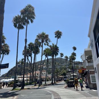 The Naughty Fox - View from patio - New American Near Me - Avalon, California