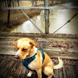 Choccolocco Park - Ellie!