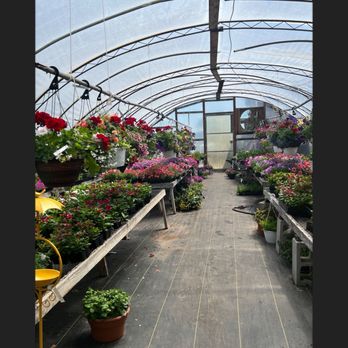 Kathryn's Flowers - Flowers & Gifts Near Me - Seaford, Delaware Kathryn's Flowers - Flowers & Gifts Near Me - Seaford, Delaware