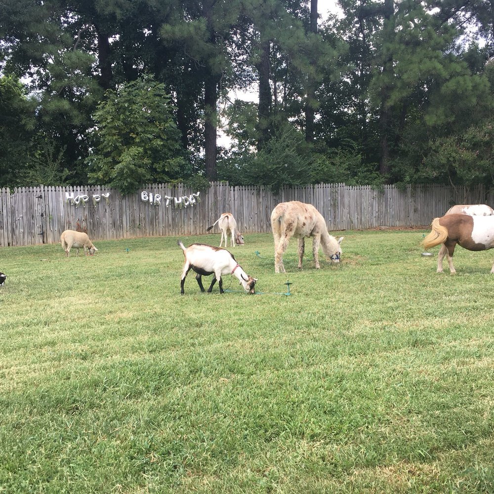 The Teeny Tiny Farm - Party & Event Planning Near Me The Teeny Tiny Farm - Party & Event Planning Near Me