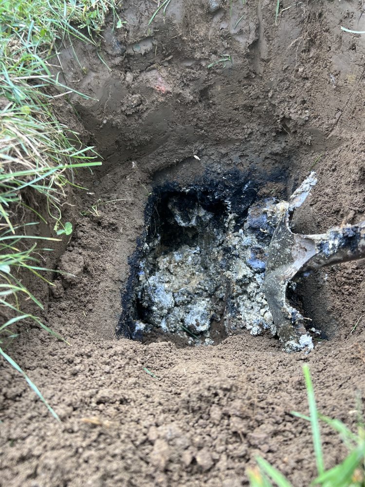 Slide of Handyman Rooter