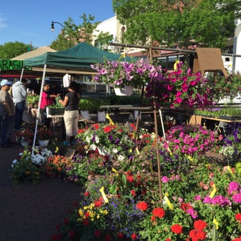 Beloit Farmers' Market - Lots of Flowers - Farmers Market Near Me - Beloit, Wisconsin