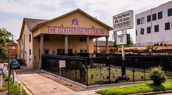 The Dog House Pet Salon 5917 Richmond Ave Houston Tx Boarding