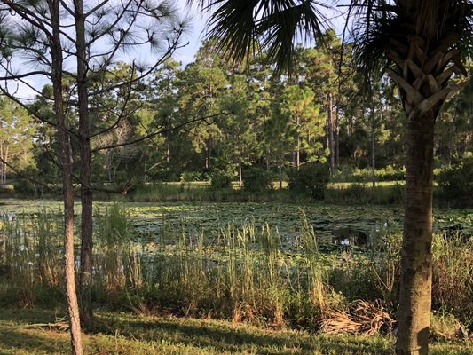 UCF Arboretum by null