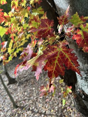 Bay City State Park by null