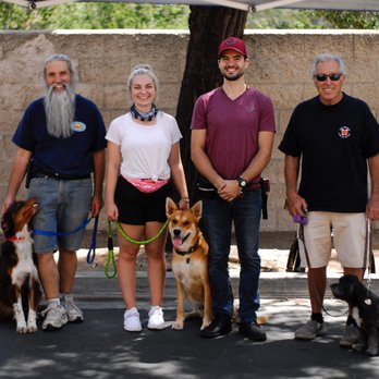 Xaviers Training - Pet Training Near Me - Highland, California Xaviers Training - Pet Training Near Me - Highland, California