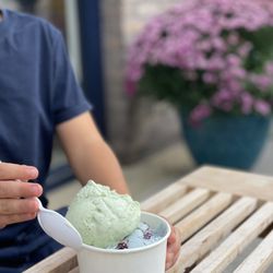 Mimi's Handmade Ice Cream - Cucumber and butterfly pea iceacream