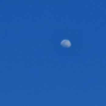 Off Leash Area Edmonds - Beautiful moon shining during the day... - Dog Parks Near Me - Edmonds, Washington Off Leash Area Edmonds - Beautiful moon shining during the day... - Dog Parks Near Me - Edmonds, Washington