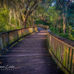 Peterson Park - Bridge