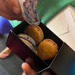 Macarons Macarons