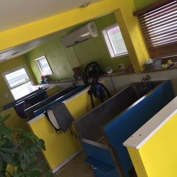 Go Go Spa - The inside tubs - Pet Groomers Near Me - Rosemead, California Go Go Spa - The inside tubs - Pet Groomers Near Me - Rosemead, California