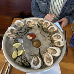 Oysters Oysters