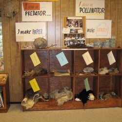 Carolyn Parr Nature Museum - Cubbies with hands-on animal pelts and info booklets.