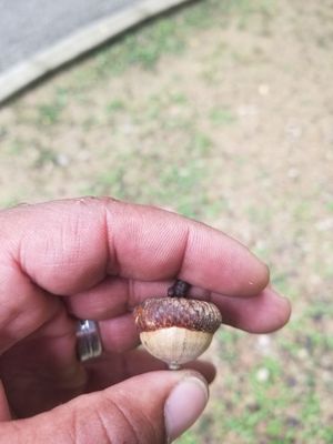 McCormick's Creek State Park by null