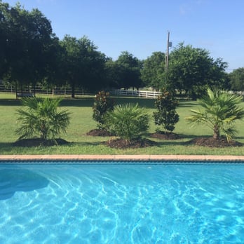 Dudley Jack Rock & Stone - We love our new trees around the pool! Dudley Jack Rock & Stone did an amazing job planting these beautiful trees! Thank you Bennett! - Nurseries & Gardening Near Me - Fort Worth, Texas Dudley Jack Rock & Stone - We love our new trees around the pool! Dudley Jack Rock & Stone did an amazing job planting these beautiful trees! Thank you Bennett! - Nurseries & Gardening Near Me - Fort Worth, Texas