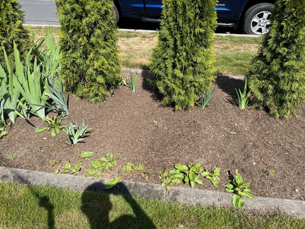 Slide of Kaiser Sewer Repair