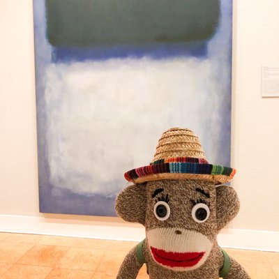 University of Arizona Museum of Art by null