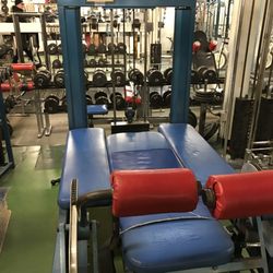 Loprinzi's Gym - "Betty", a ridiculously huge leg machine.