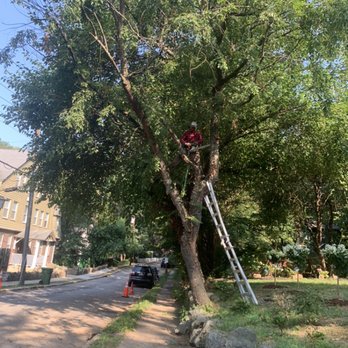 Tony's Landscaping - Tree removal - Snow Removal Near Me Tony's Landscaping - Tree removal - Snow Removal Near Me