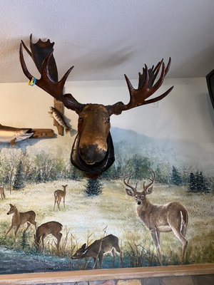 Antlers Restaurant by null