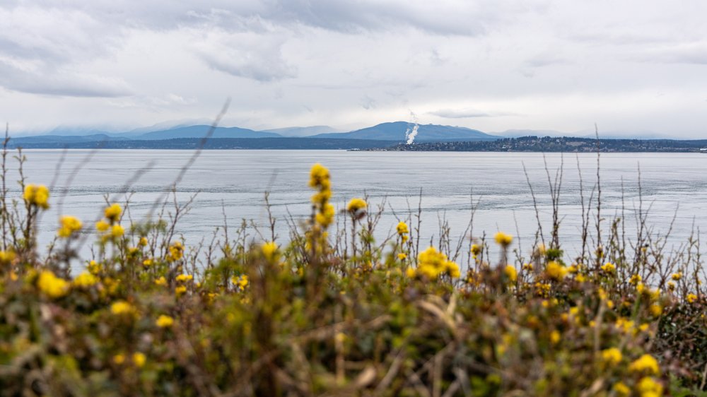 Admiralty Head Lighthouse Image