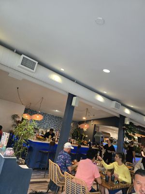 Octopus Baja by null