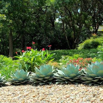 Texas Nativescapes - Landscaping Near Me - Denton, Texas