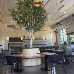 Seismoto Coffee Bar - Indoor seating