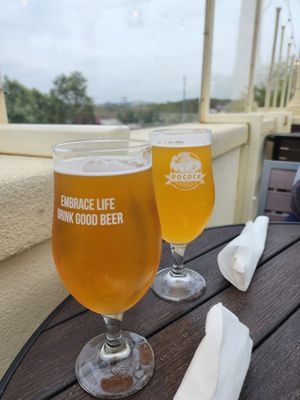 Pocock Brewing Public House by null