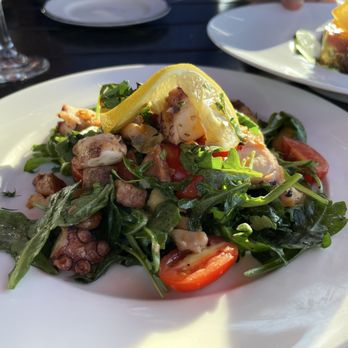 Stella Artisan Italian - Grilled octopus - Italian Near Me - Ridgewood, New Jersey