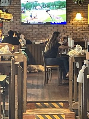 Sports Grill Sunset by null