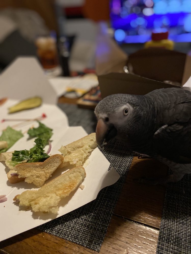 BUDDIES SPORTS BAR & GRILL Updated July 2024 73 Photos & 106