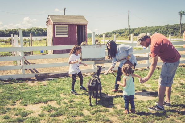Garden of Eve Organic Farm by null