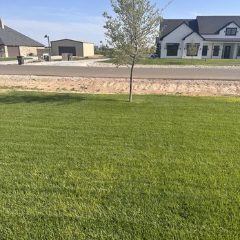 TruGreen Lawn Care - a lawn in a residential area - Lawn Services Near Me - Amarillo, Texas TruGreen Lawn Care - a lawn in a residential area - Lawn Services Near Me - Amarillo, Texas