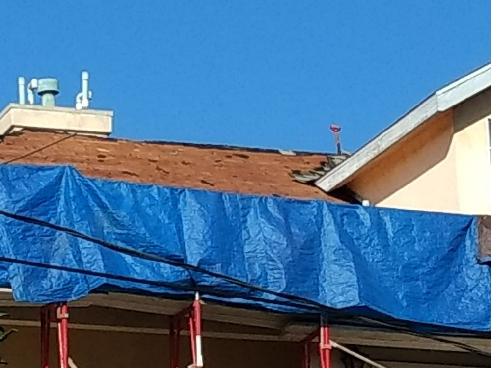 Slide of Alpha Demolition