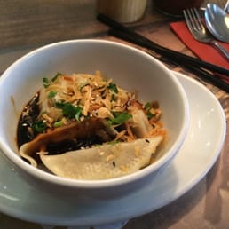Chicken Dumplings Chicken Dumplings
