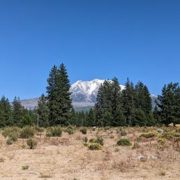 view from the food truck