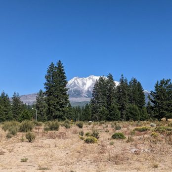 El Zaguan - view from the food truck - Tacos Near Me - Weed, California