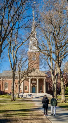 Harvard University by null