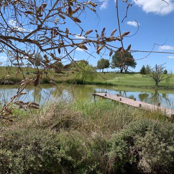 Graveyard Vineyards - Great for picnics by the pond. - Wine Tasting Room Near Me - San Miguel, California Graveyard Vineyards - Great for picnics by the pond. - Wine Tasting Room Near Me - San Miguel, California