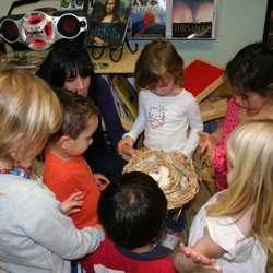 Oak Park Neighborhood School - Close Investigation