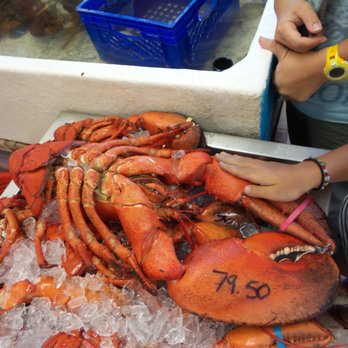 Alma Lobster Shop - 10 pound lobster - Seafood Markets Near Me - Alma, New Brunswick