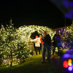 Benjamin Bridge - Holiday lights at Benjamin Bridge