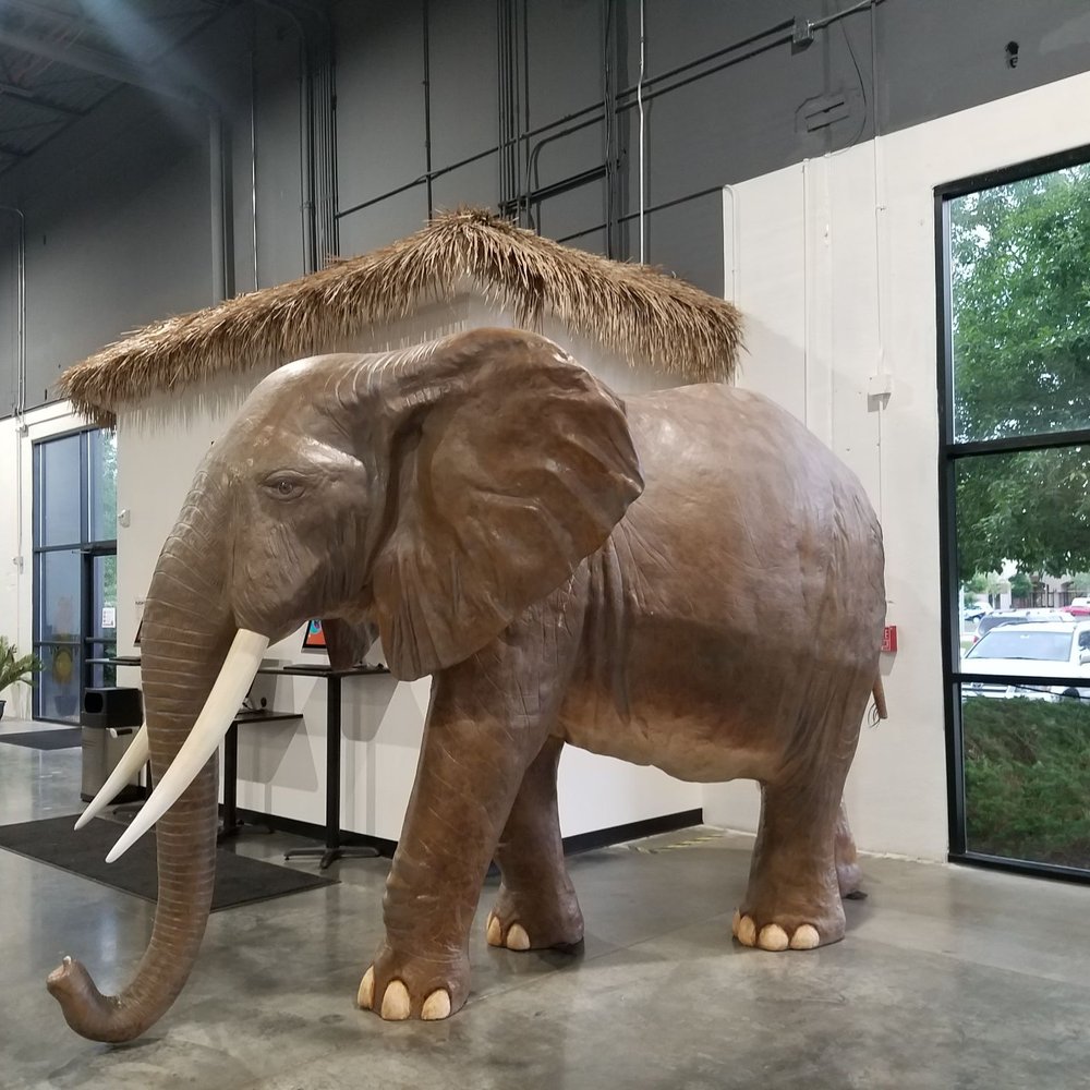 Lava Island - Elephant beside the 3 computer area where parents need to sign the waivers - Trampoline Parks Near Me - Aurora, Colorado Lava Island - Elephant beside the 3 computer area where parents need to sign the waivers - Trampoline Parks Near Me - Aurora, Colorado