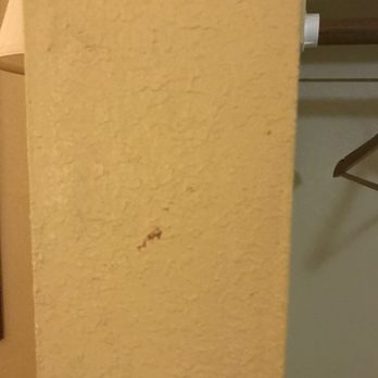 Days Inn by Wyndham Selma - Boogers? Blood? Poop? Your guess is as good as mine - Hotels Near Me - Selma, North Carolina Days Inn by Wyndham Selma - Boogers? Blood? Poop? Your guess is as good as mine - Hotels Near Me - Selma, North Carolina