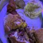 Photo of Mr Smith's