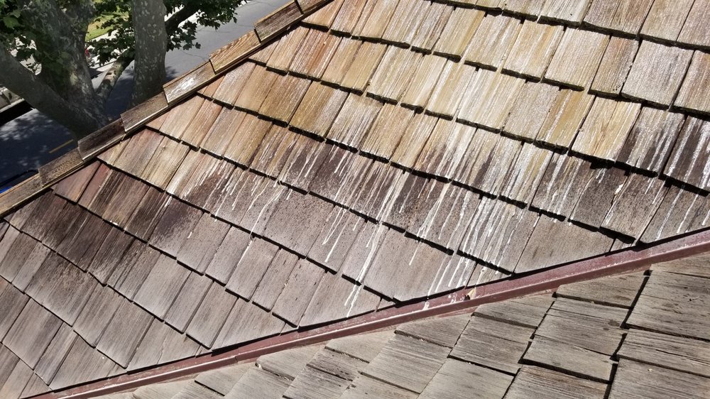 Slide of No Moss SoftWash