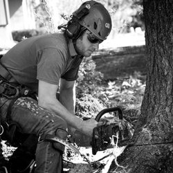 Murphy’s TreeScapes - All in a days work!!